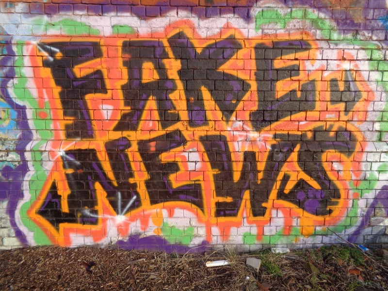 Fake Journalists: A Prescription Worse Than the Ailment