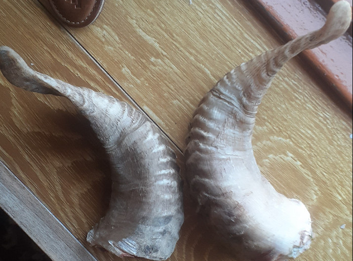 Sheep horns: My Personal Alchemy
