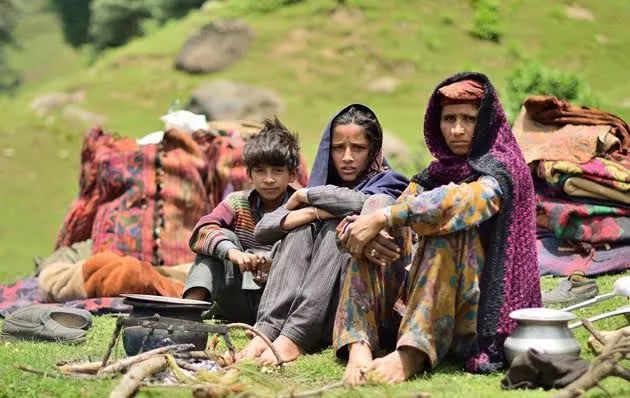 How Patriarchy and Early Marriages Derail Girls' Education in Tribal Villages of Rajouri