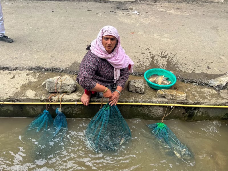 Pushed to the Margins, Kashmir’s Resilient Fisherwomen Know They Have to Work